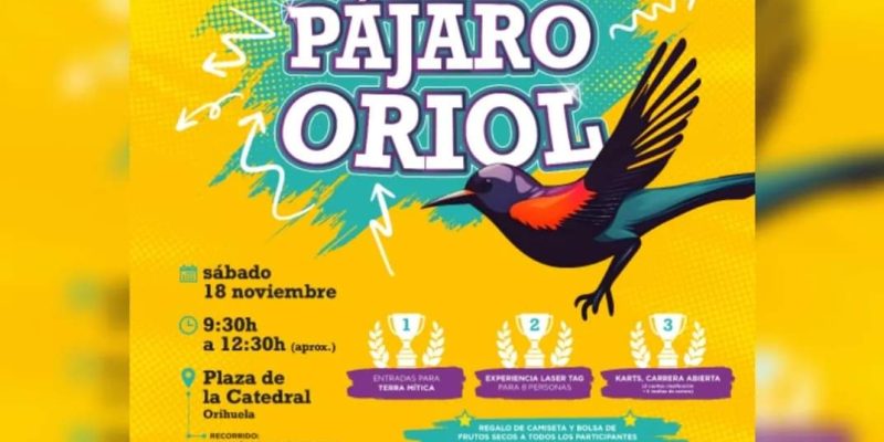 Orihuela organiza la "Yincana salvar al pájaro Oriol" el 18 de noviembre