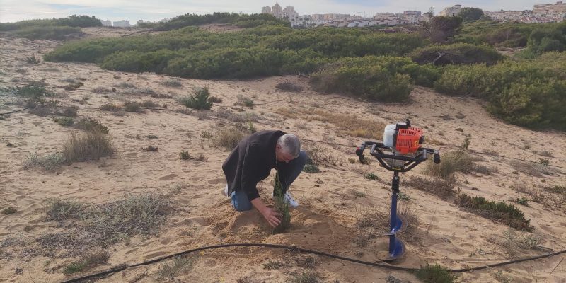 Torrevieja avanza en la restauración del Paraje Natural Municipal del Molino del Agua