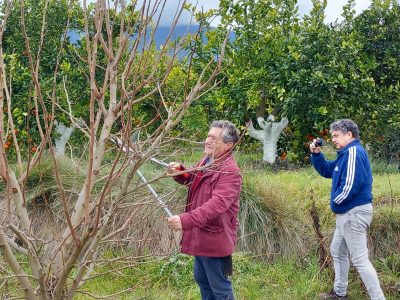 LA UNIÓ acusa al gobierno autonómico de "dejar en la estacada" a los agricultores valencianos
