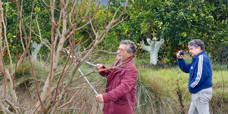 LA UNIÓ acusa al gobierno autonómico de "dejar en la estacada" a los agricultores valencianos