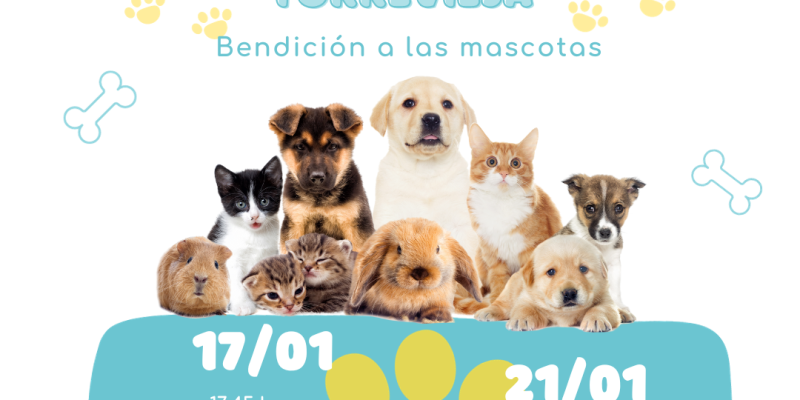 Torrevieja celebrará la festividad de San Antón este miércoles 17 de enero