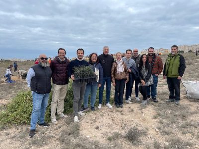Torrevieja inicia la plantación de especies autóctonas en el Parque Natural