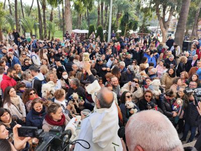 El municipio de Orihuela se vuelca con la festividad de San Antón