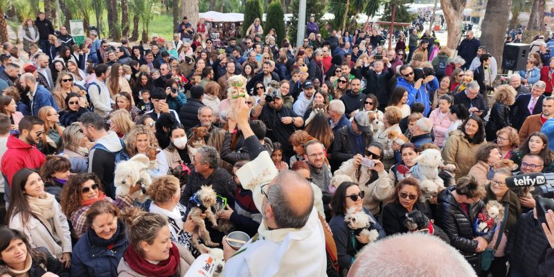 El municipio de Orihuela se vuelca con la festividad de San Antón