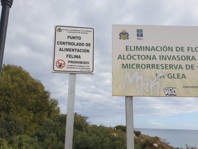 Orihuela instala carteles informativos sobre colonias felinas