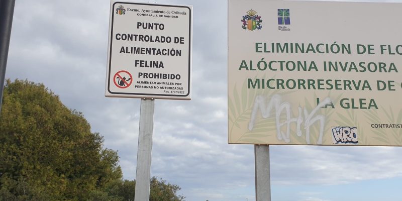 Orihuela instala carteles informativos sobre colonias felinas