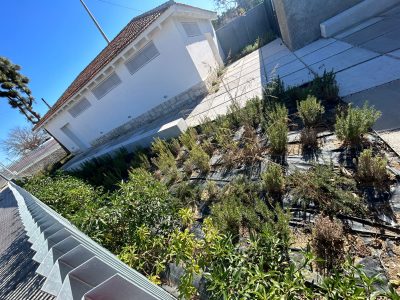 Ciudadanos de Benejúzar denuncia el abandono del Centro Cultural "El Matadero"