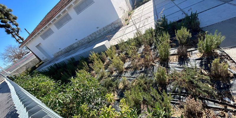 Ciudadanos de Benejúzar denuncia el abandono del Centro Cultural "El Matadero"