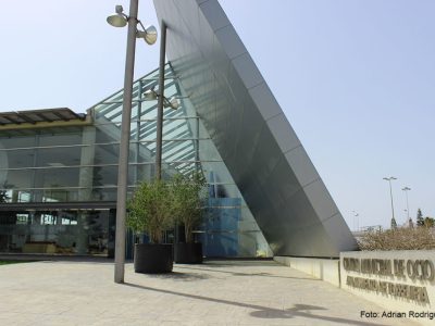 Torrevieja celebra este sábado el V Concurso Internacional de Cocido