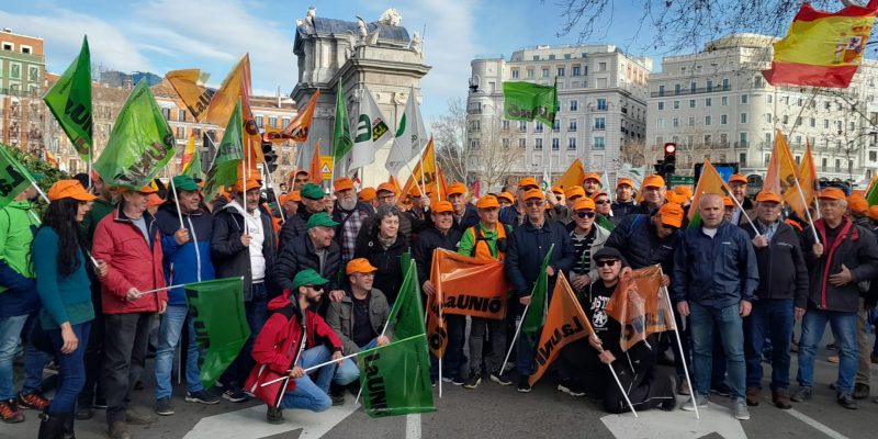 El campo valenciano ha participado hoy en la tractorada histórica de Madrid