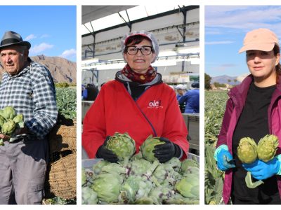 La alcachofa de la Vega Baja lanza "Historias con corazón"