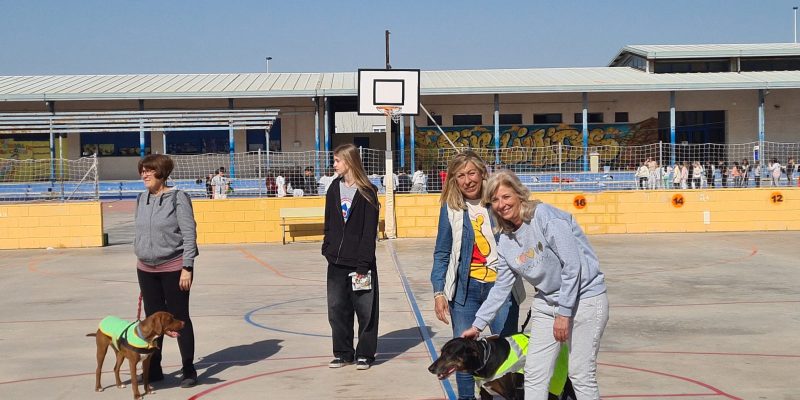 Torrevieja conciencia a los escolares sobre el bienestar de los animales