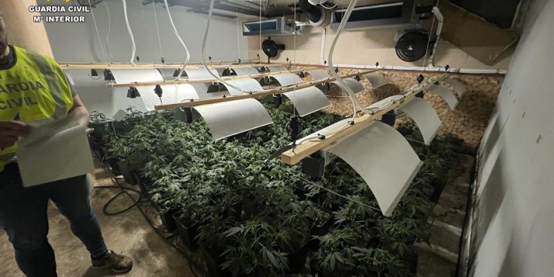 La Gurardia Civil desmantela dos redes de narcotráfico en Alicante, Murcia y Valencia