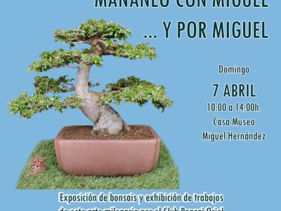 La Casa Museo de Miguel Hernández en Orihuela acogerá una exposición de bonsais
