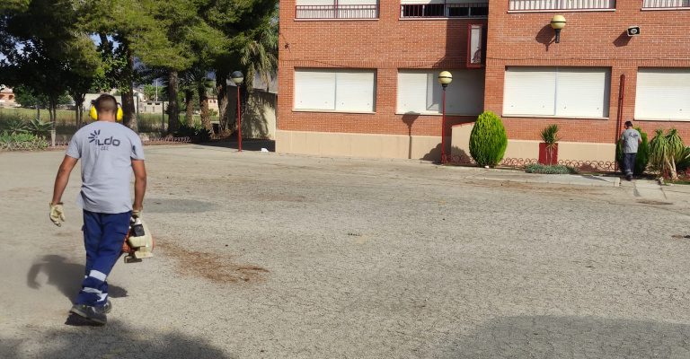 Orihuela celebra el aniversario de ILDO con un acto en La Lonja