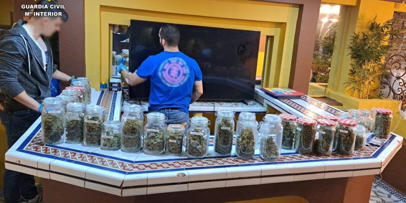 La Guardia Civil desmantela una asociación de cannabis en Torrevieja
