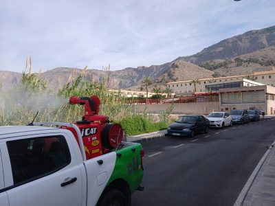 Orihuela refuerza la prevención de plagas de mosquitos