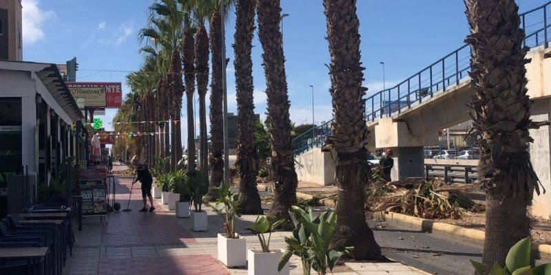 Orihuela abre el plazo de ofertas para la gestión del Mercadillo de Aguamarina