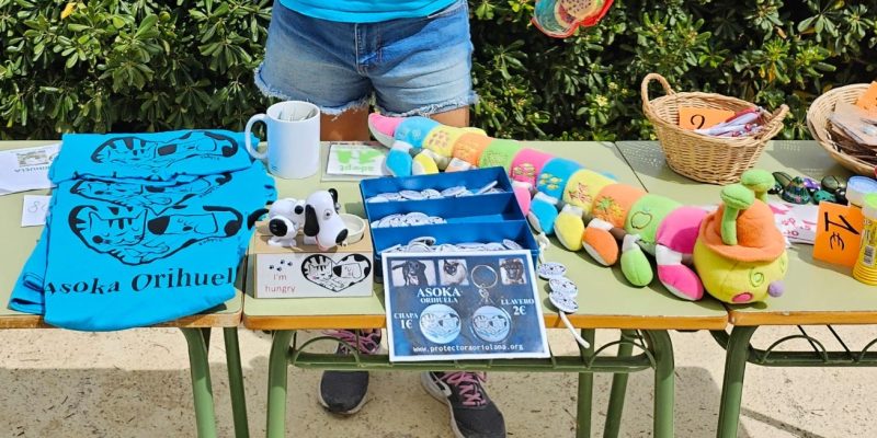 Asoka Orihuela organiza una nueva jornada 'Talk & Walk' para dar a conocer su labor