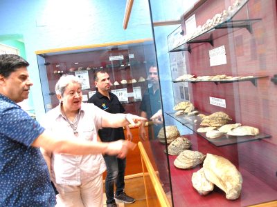 La nieta de Jiménez de Cisneros dona una colección de fósiles al Museo de Rojales