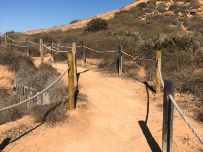 Orihuela finaliza los trabajos de reparación del sendero peatonal de la Microrreserva de La Glea