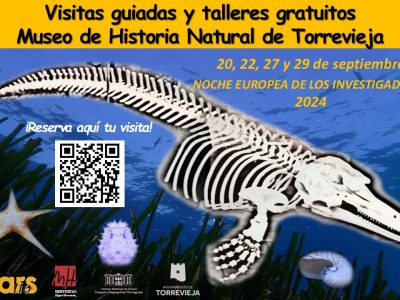 Vuelven a Torrevieja las visitas guiadas y talleres del cerebro en el Museo de Historia Natural