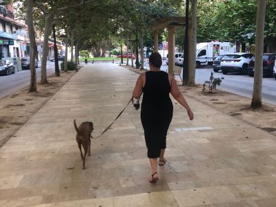 Orihuela continúa con la consulta pública para redactar la Ordenanza de Bienestar Animal