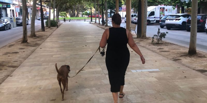 Orihuela continúa con la consulta pública para redactar la Ordenanza de Bienestar Animal