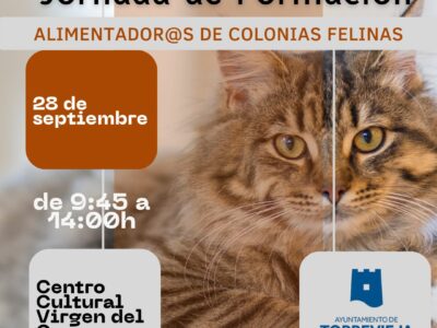 Torrevieja organiza una jornada de formación de alimentación de colonias felinas