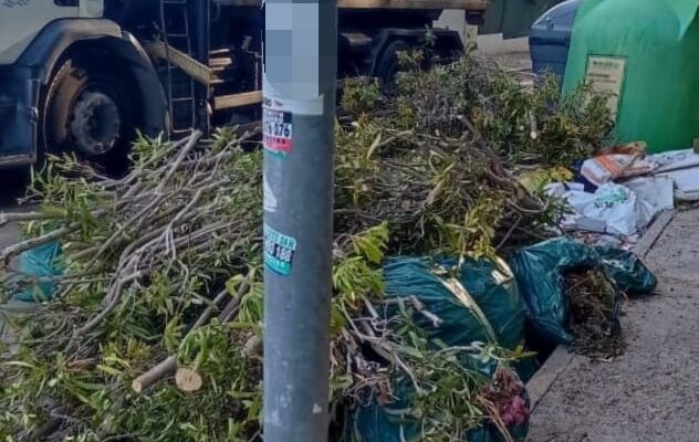 Orihuela adjudica el servicio de depósito y transporte de podas y enseres