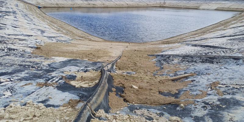 ASAJA acusa a la CHS de poner en riesgo la campaña de hortalizas de invierno