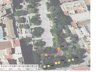 Cambiemos Orihuela adverte que tres árboles de la Glorieta presentan riesgo de caída