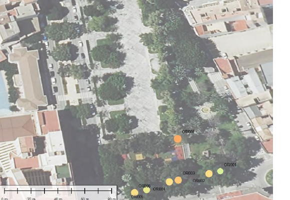 Cambiemos Orihuela adverte que tres árboles de la Glorieta presentan riesgo de caída