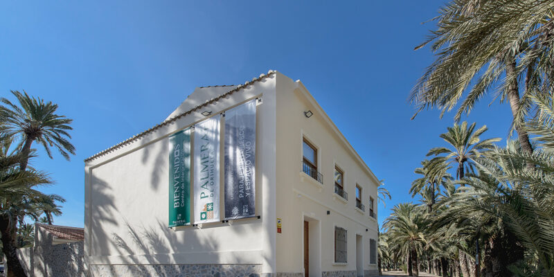 Orihuela continúa las visitas guiadas al Palmeral y al Centro de Interpretación