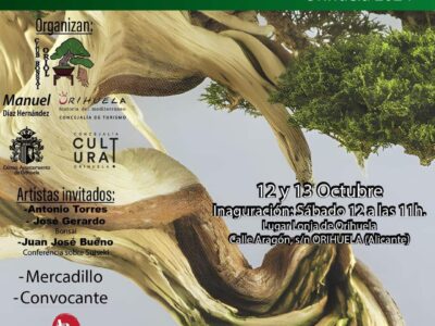 Orihuela acoge la XIX Mostra de Bonsái de la Comunidad Valenciana