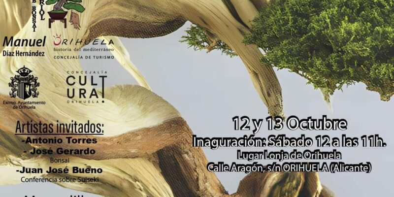 Orihuela acoge la XIX Mostra de Bonsái de la Comunidad Valenciana