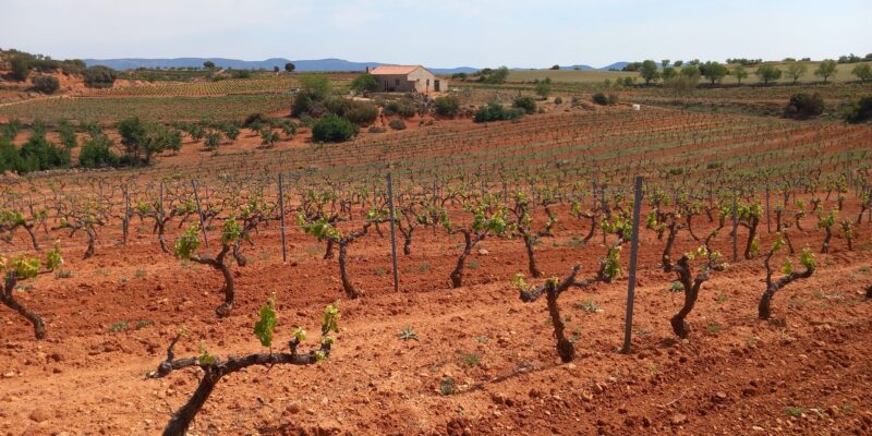 LA UNIÓ reclama a la conselleria de Agricultura la aplicación de las ayudas por la sequía