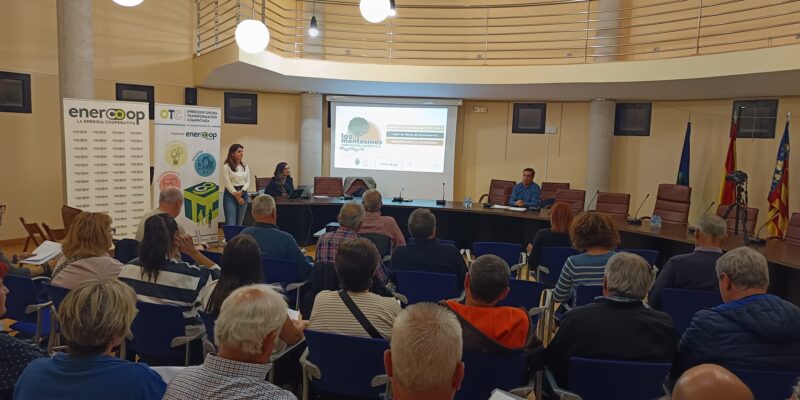 Los Montesinos constituye su primera comunidad energética local