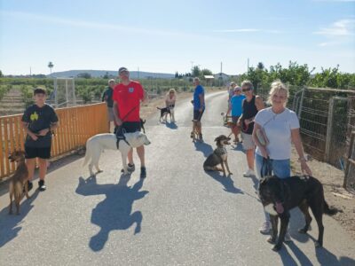 Los 'Paseos solidarios' vuelven a Asoka Orihuela por Navidad