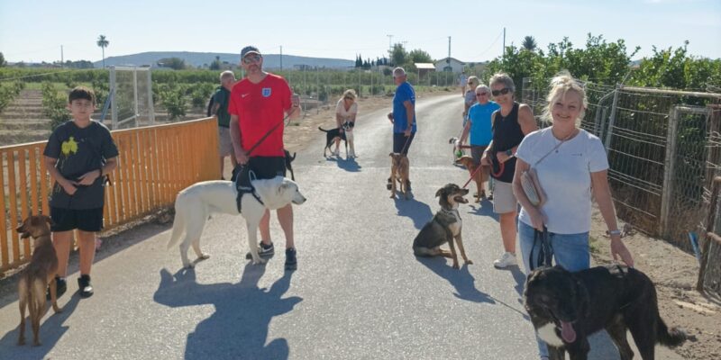 Los 'Paseos solidarios' vuelven a Asoka Orihuela por Navidad