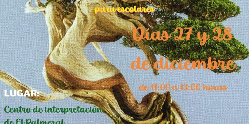 Orihuela organiza un curso de iniciación al cultivo del bonsái para escolares