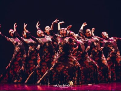 El concejal de Educación de Orihuela, Vicente Pina, ha presentado la gala de Navidad, organizada por la Escuela Municipal de Danza de Orihuela (EMDO), que tendrá lugar el próximo 19 de diciembre a las 19.00h en el Teatro Circo Atanasio Die