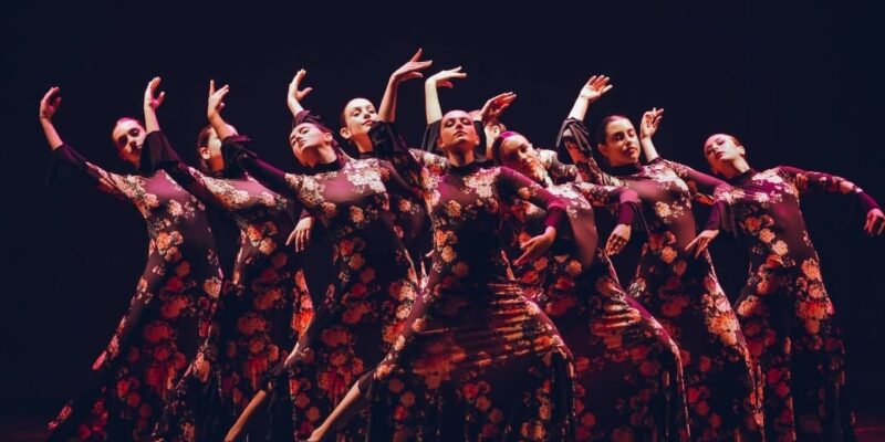 El concejal de Educación de Orihuela, Vicente Pina, ha presentado la gala de Navidad, organizada por la Escuela Municipal de Danza de Orihuela (EMDO), que tendrá lugar el próximo 19 de diciembre a las 19.00h en el Teatro Circo Atanasio Die