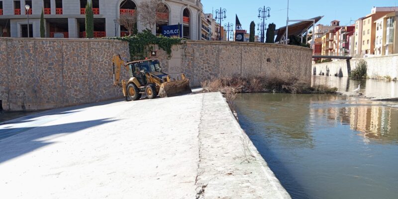 Orihuela limpia el cauce del río Segura a su paso por el casco urbano