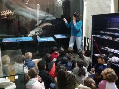 Más de 2.000 personas han visitado el Museo de Historia Natural de Torrevieja con motivo de la XVI Semana de la Ciencia organizada por la Asociación Cultural Ars Creatio y que se han realizado durante dos meses