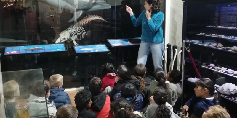 Más de 2.000 personas han visitado el Museo de Historia Natural de Torrevieja con motivo de la XVI Semana de la Ciencia organizada por la Asociación Cultural Ars Creatio y que se han realizado durante dos meses