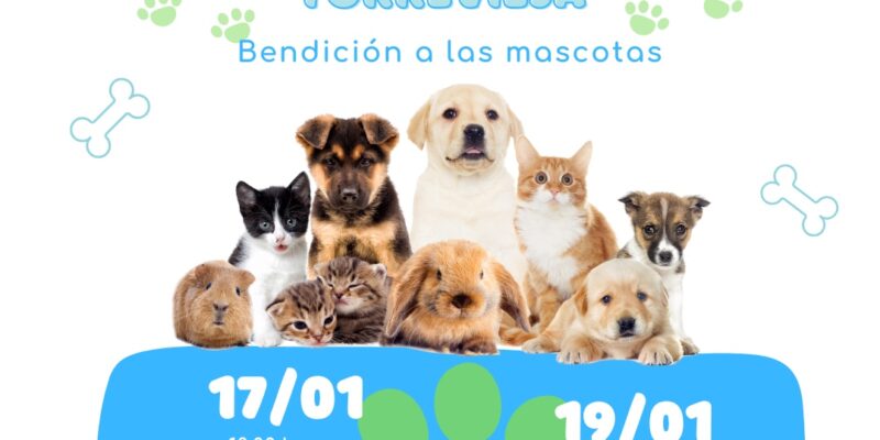 Torrevieja celebrará San Antón con la bendición a las mascotas el 17 de enero