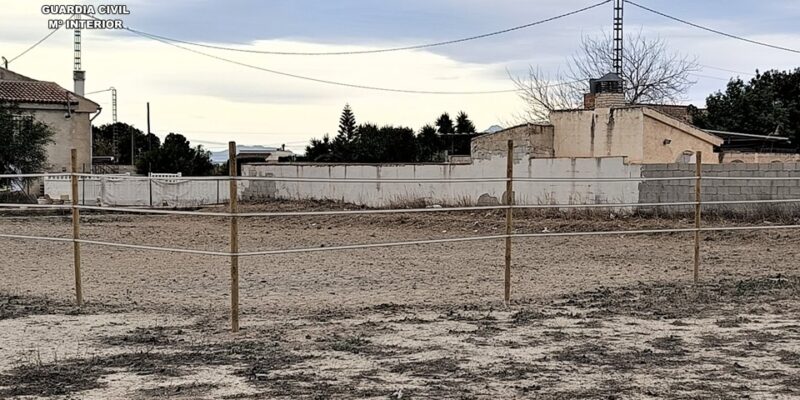 Investigan a un hombre por apropiación indebida de una parcela agrícola en Callosa de Segura