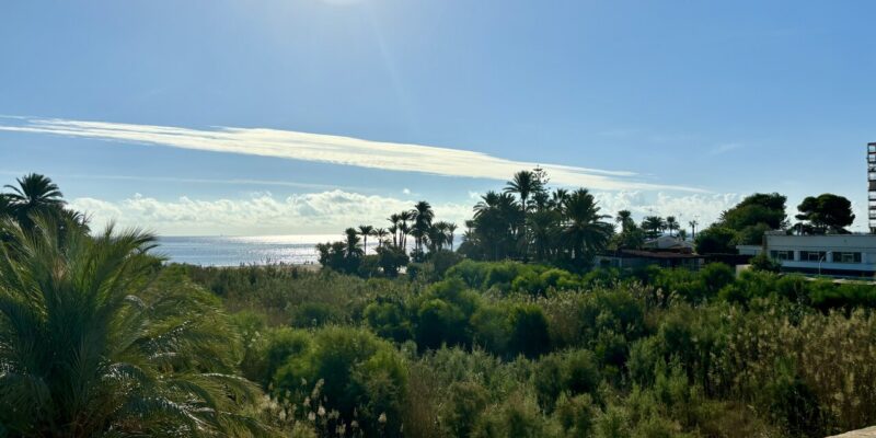 Orihuela mejora el entorno de la playa La Glea con la limpieza del río Nacimiento