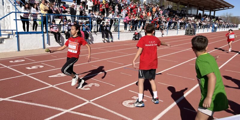 Más de 50 escolares de la Vega Baja participarán en las V Olimpiadas Escolares de la Alcachofa en Almoradí